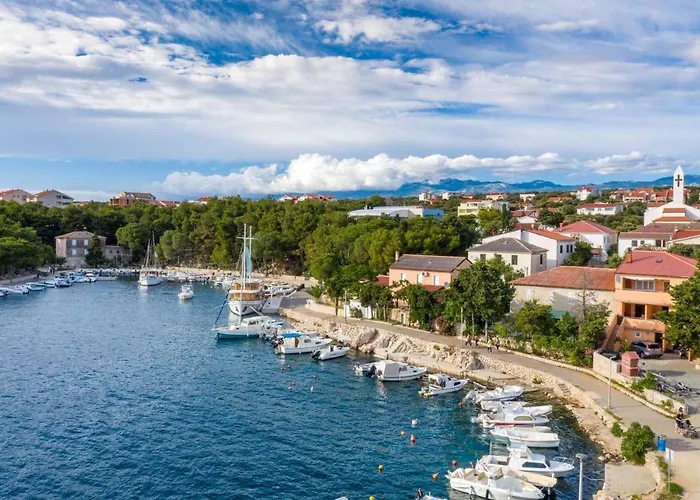 Olive I Lavender Mandre