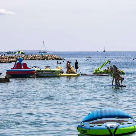 Apartment Olive I Lavender Mandre